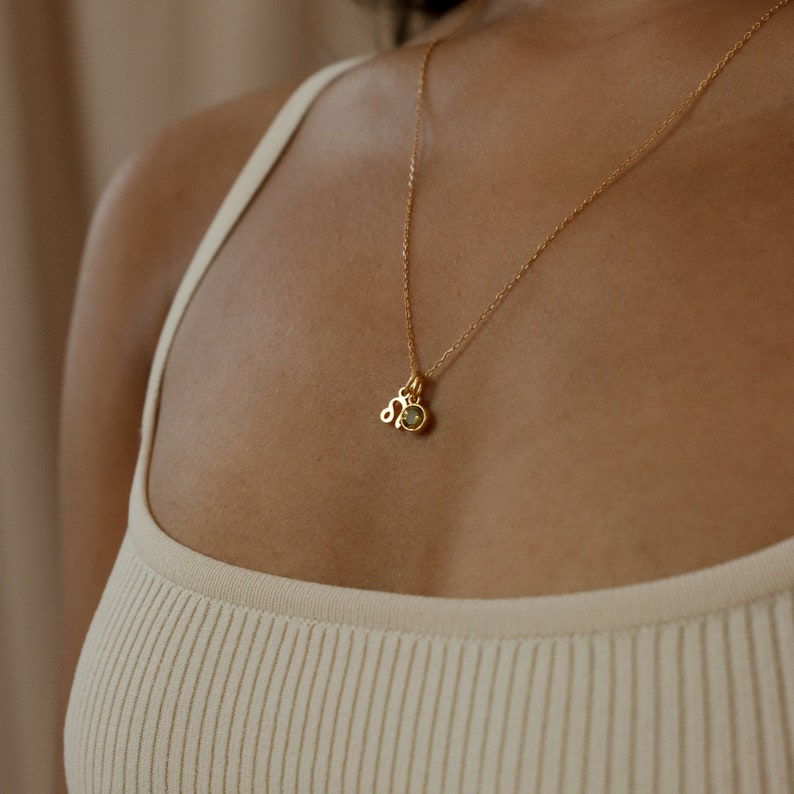 Zara Zodiac Star Sign Necklace